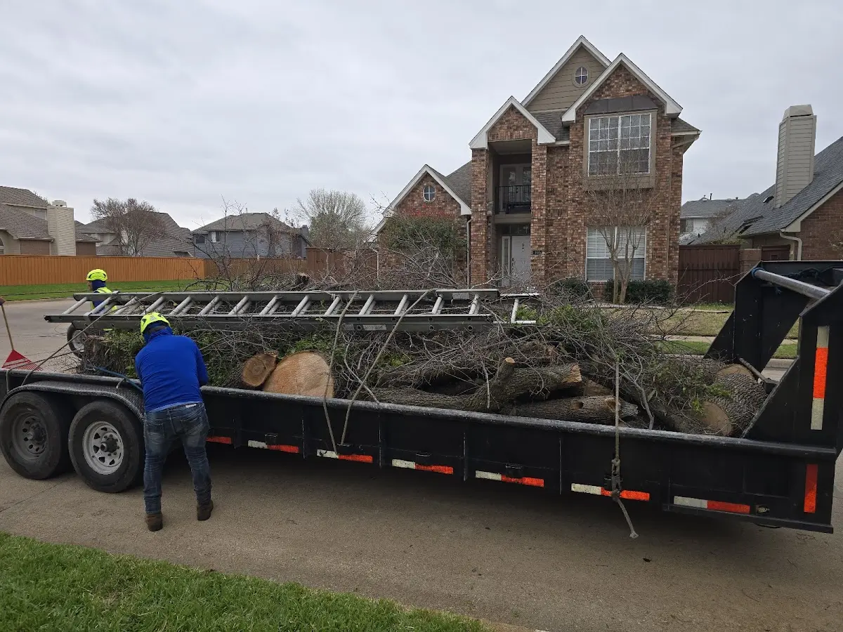 Expert Lot Clearing with proper safety equipment in Harrison